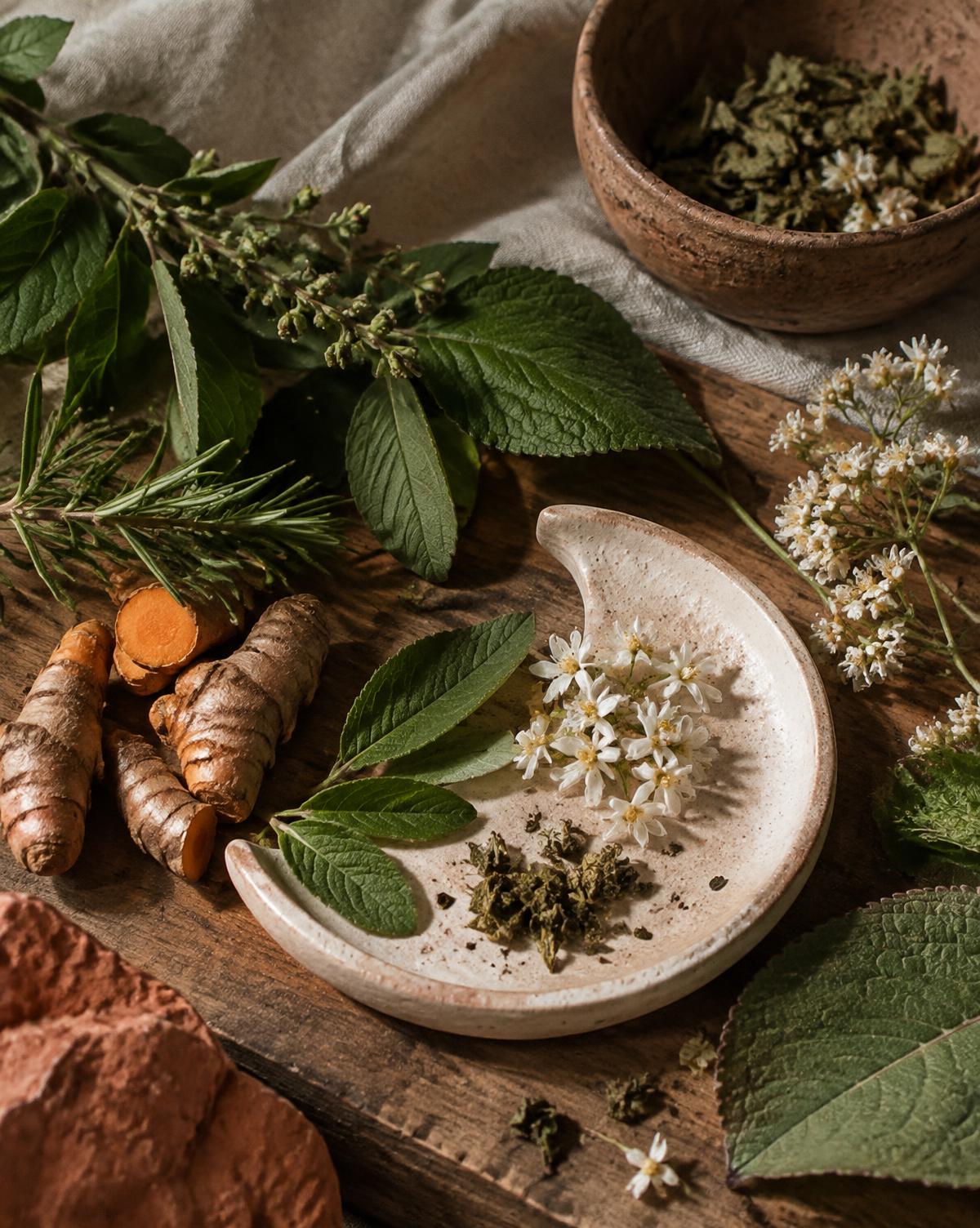 Ervas, flores e raízes dispostas sobre tecido natural